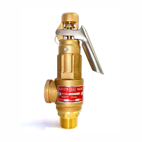 Safety Valve With Lever