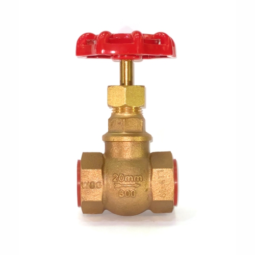 Bronze Globe Valve